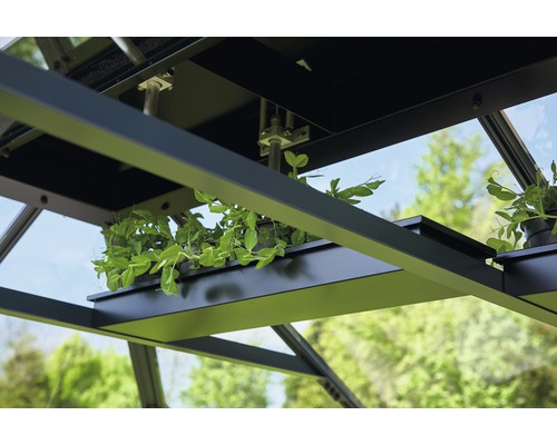 Detailaufnahme eines Gewächshausinnenraums mit Pflanzen in Töpfen auf einer Ablage