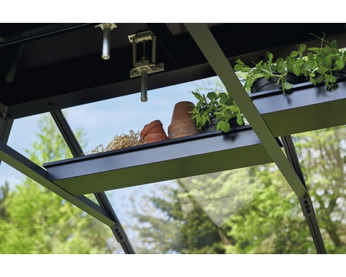 Gewächshaus Innenansicht mit Regalen, Blumentöpfen und Pflanzen