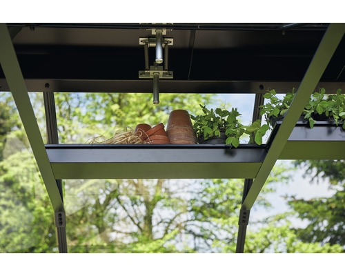 Gewächshaus Innenansicht mit Regal, Blumentöpfen und Pflanzen