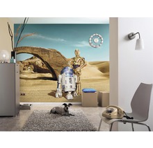 Wohnzimmer mit Star Wars Fototapete, Sessel, Teppich und Kommode