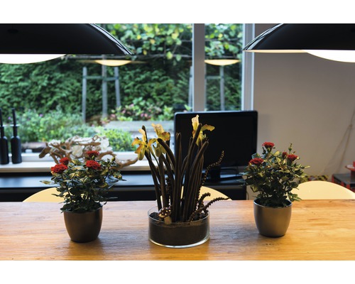 Dekoratives Arrangement auf einem Tisch mit Rosen und Orchideen