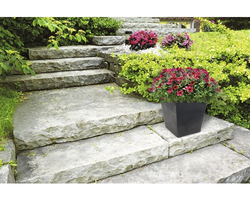 Außentreppe mit Blumen in einem Topf
