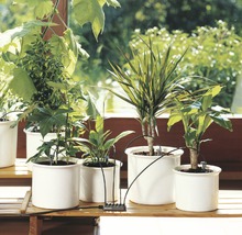 Bewässerungssystem Gardena UrlaubsbewässerungSet HORNBACH
