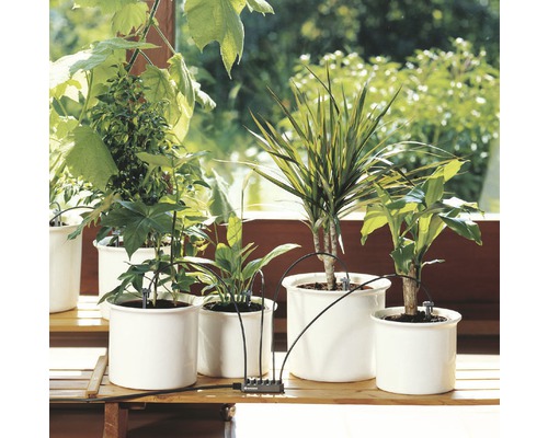 Bewässerungssystem für Topfpflanzen auf einem Holztisch