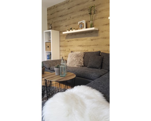Wohnzimmer mit Sofa, Couchtisch, Wandregal und Regalschrank vor einer Holzwand