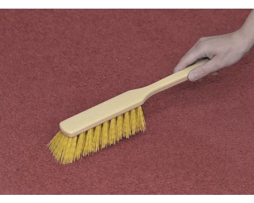 Hand hält eine Reinigungsbürste auf einem Teppich
