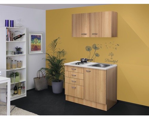 Kompakte Küche mit Spüle, Kochfeld und Hängeschrank in einem Raum.