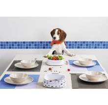 Arrangiertes Abendessen mit Hund am Esstisch mit Haustiernahrung in Schalen