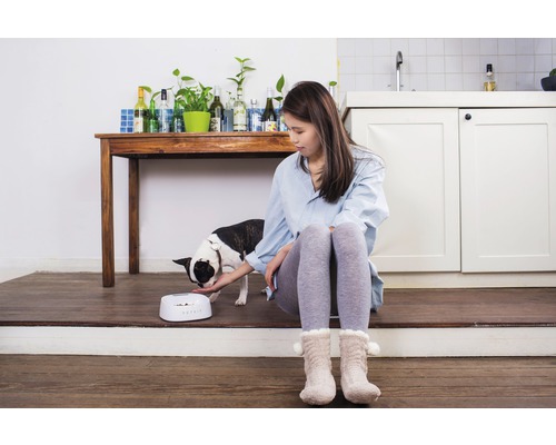 Frau füttert Hund aus einer Futterschüssel in einem hellen Raum