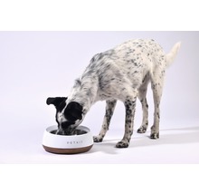 Napf PETKIT Fresh Metal mit integrierter Waage 1,7 l weiß