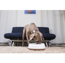 Napf PETKIT Fresh Metal mit integrierter Waage 1,7 l weiß