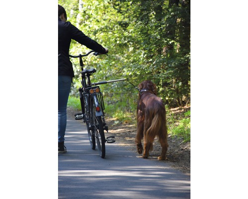 Person schiebt Fahrrad mit Hund an der Leine auf einem Weg