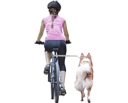 Frau fährt Fahrrad mit Hundeanhänger