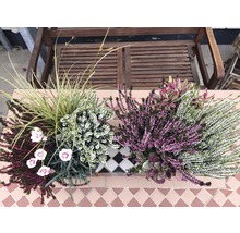 Blumenkasten mit Heidekraut und Ziergras auf einer Terrasse