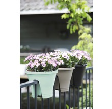 Drei Blumenkästen mit Blumen auf einem Balkongeländer