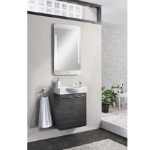 Badezimmer mit Waschbeckenunterschrank, Spiegel mit Beleuchtung, Handtuchhalter und Pflanze