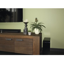 Wohnzimmer-Szene mit TV-Möbeln, Zimmerpflanze und Dekoration
