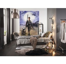 Fototapete Papier 4-448 Disney Edition 2 Star Wars Rey 4-tlg. 184 x 254 cm