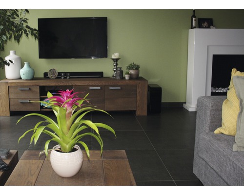 Wohnzimmer mit TV, Kommode, Zimmerpflanze und Kamin