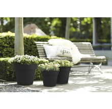 Drei Pflanztöpfe mit Pflanzen auf einer Terrasse mit einer Bank im Hintergrund.