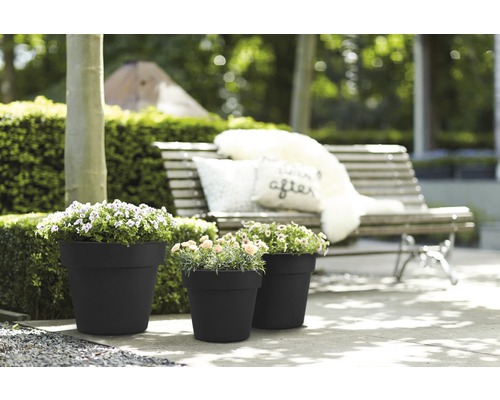 Drei Pflanztöpfe mit Pflanzen auf einer Terrasse mit einer Bank im Hintergrund.