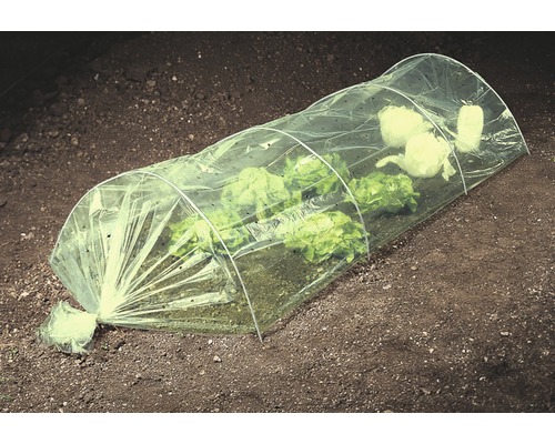 Kleingewächshaus über Salatpflanzen im Garten