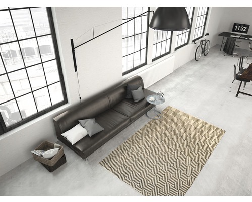 Wohnzimmer mit Sofa, Teppich und Fenstern für eine helle Atmosphäre
