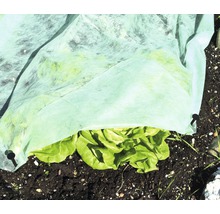 Gartenvlies 20 g/m² FloraSelf 25 x 2 m, grün