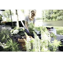 Frau pflanzt Blumen in Töpfe im Garten.