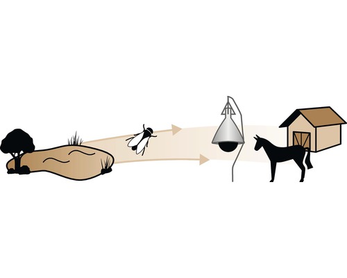 Pferdebremsenfalle zur Insektenbekämpfung auf dem Bauernhof