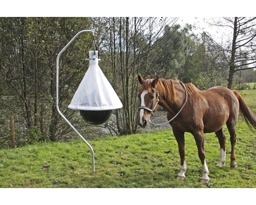 Pferdefliegenfalle mit Ständer auf einer Wiese, daneben ein Pferd