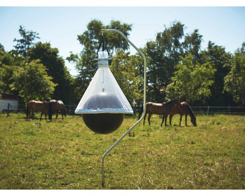 Pferdebremsenfalle auf einer Wiese mit Pferden