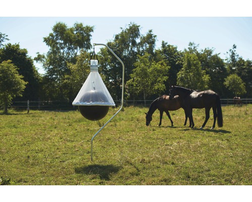 Pferdebremsen Falle auf einer Wiese mit Pferden