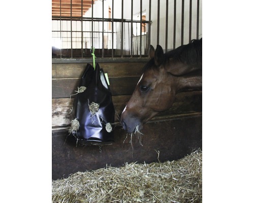 Pferd frisst Heu aus Heusack im Stall