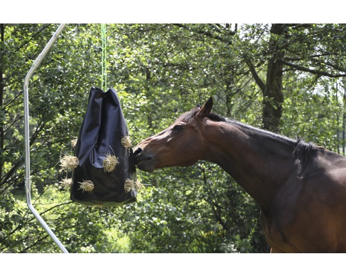 Pferd frisst Heu aus einem Heunetz, das an einem Gestell hängt