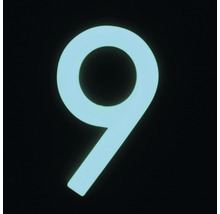 Hausnummer 9 Nachtleuchtend glow in the Dark selbstleuchtend
