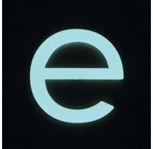 essence Logo