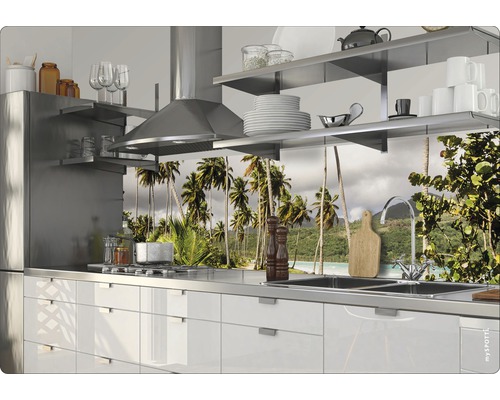 Küchenszene mit Spüle, Kochfeld und einer Küchenrückwand mit Palmenmotiv