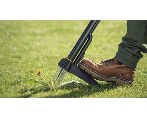 Person benutzt einen Unkrautstecher im Garten, um Löwenzahn zu entfernen.