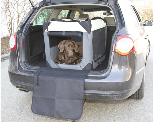 Hund im Auto-Transportkäfig im Kofferraum