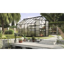 Gewächshaus im Garten mit Pflanzenregal und Gartengeräten