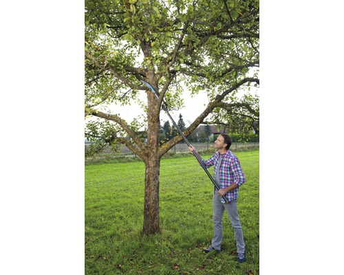 Mann schneidet Baum mit einer Baumschere mit Stiel in einem Garten.