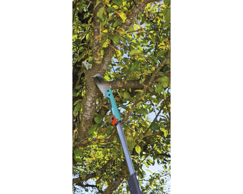 Gartensäge mit Teleskopstiel schneidet Ast an einem Baum.