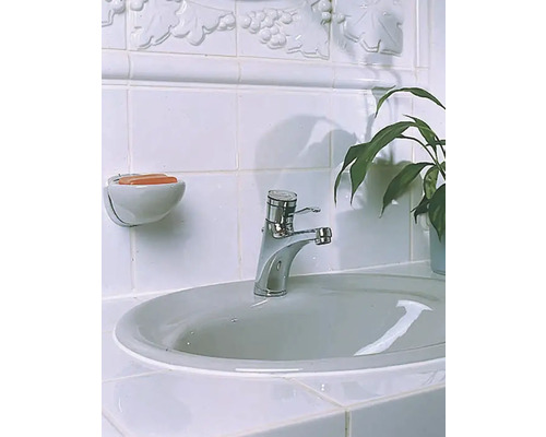 Badezimmer mit Waschbecken, Armatur, Seifenschale, Seife, Fliesen und Pflanze