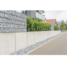 Gabionenwand mit Betonmauer und Bepflanzung als Grundstücksbegrenzung.