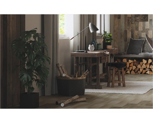 Wohnzimmer mit Holzboden, Werkbank und Zimmerpflanze im Topf.
