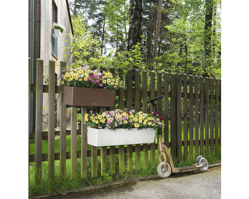 Zwei Blumenkästen mit bunten Blumen hängen an einem Holzzaun neben einem Roller.