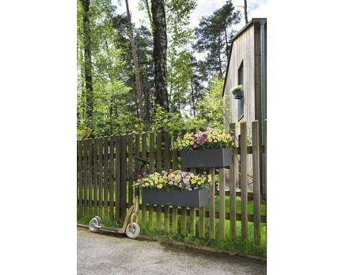 Szene mit Blumenkästen am Zaun und einem Roller im Garten