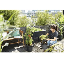 Gartenbepflanzungsszene mit Hochbeet, Pflanzgefäßen und Frau auf Terrasse