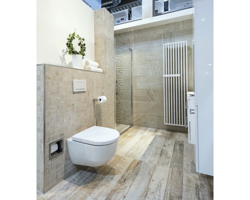 Modernes Badezimmer mit Hänge-WC, Dusche und Heizkörper